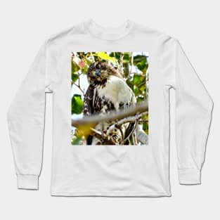 Red Tailed Hawk Long Sleeve T-Shirt